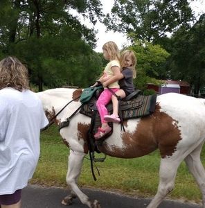 Meet your Posher, Paula